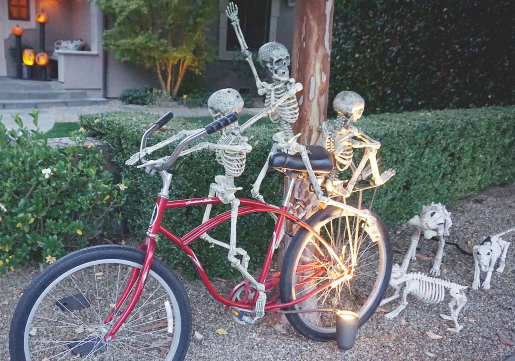 Halloween on Scott Street